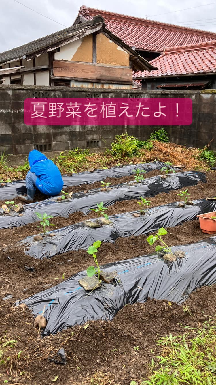 353856471_587250476878903_8250